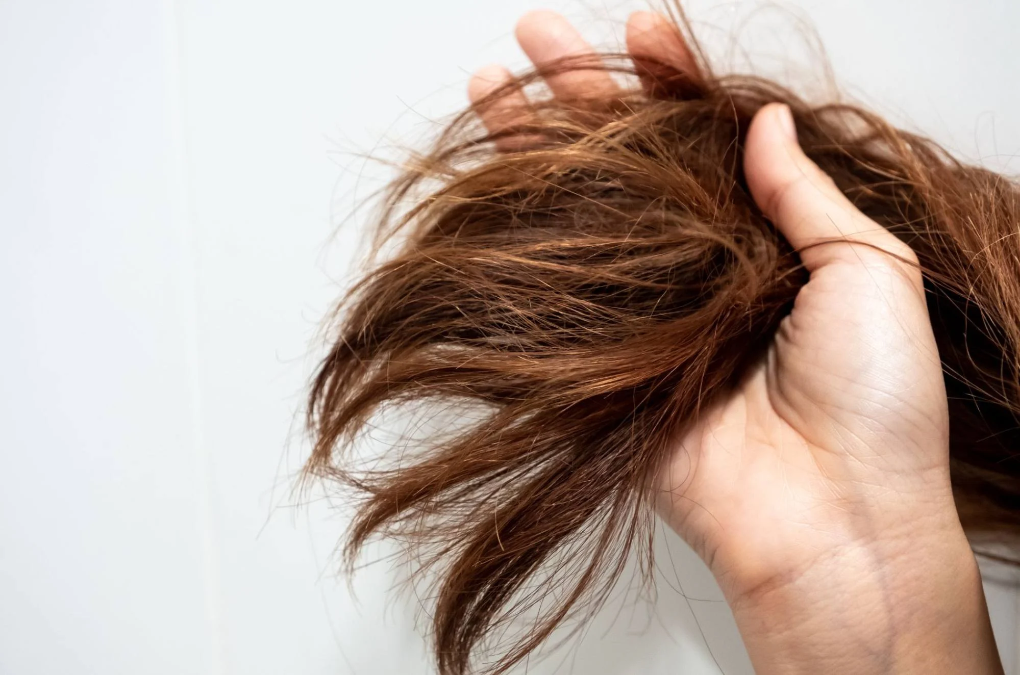 Causes of dry hair and care tips